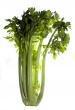 Celeri Vert Branche De France Par 500g